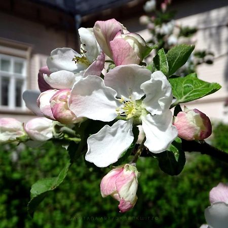 B&B Savikon Kartano Kitee Bagian luar foto